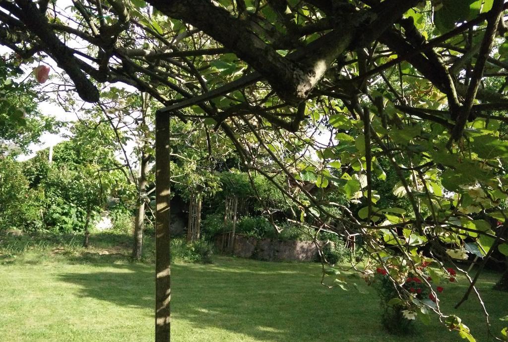 Gentil'Home - Toulouse B&B Prestige Fenouillet  Экстерьер фото